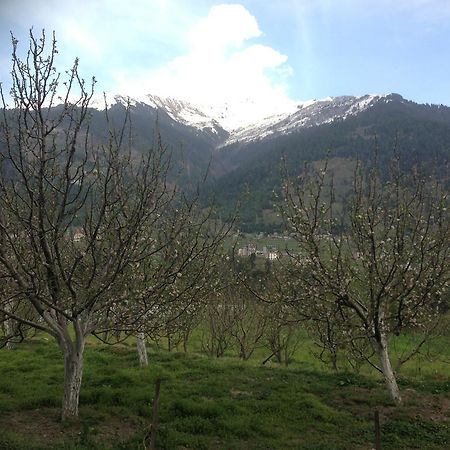 Akash Hills Hotel Manāli Eksteriør billede
