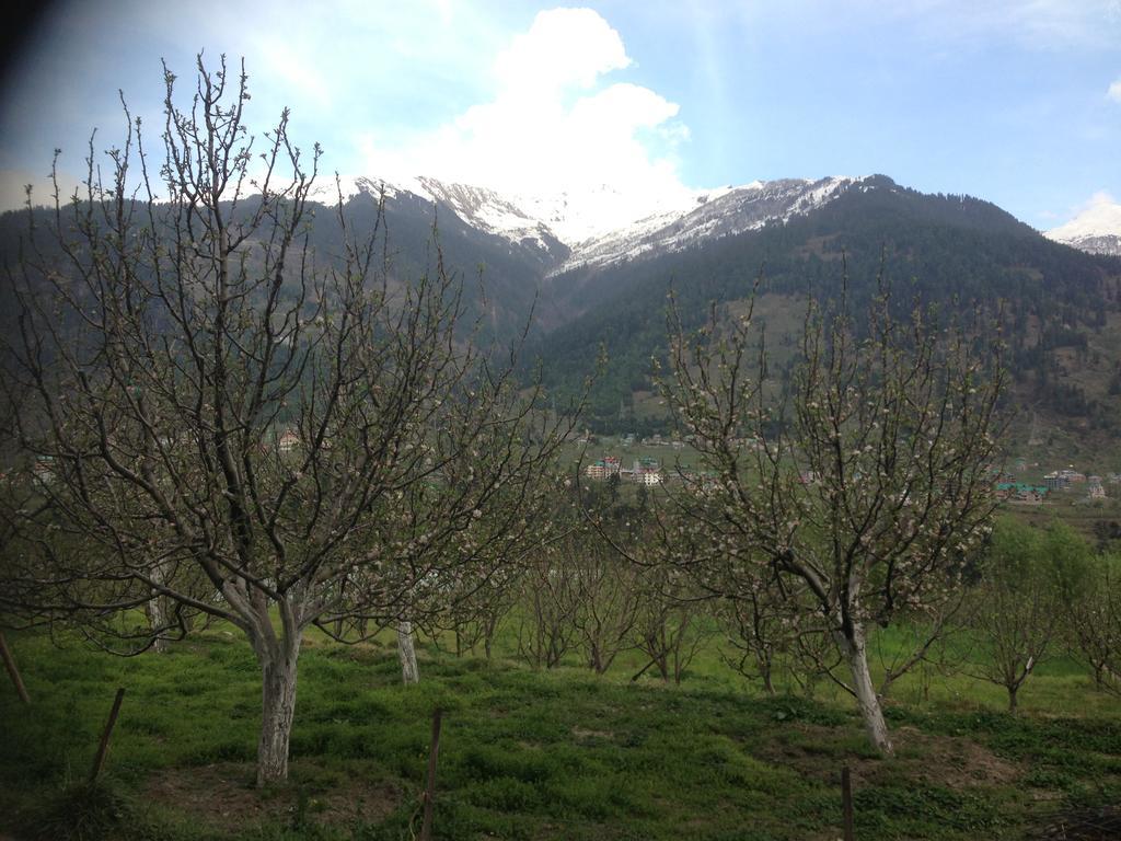 Akash Hills Hotel Manāli Eksteriør billede
